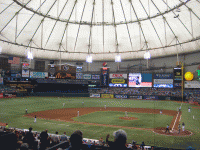 The Trop!