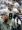 070809_romo2_vmed_8p.widec.jpg