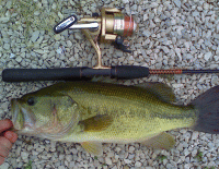 2009-05-23-16half.jpg