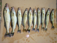 DSC01215.JPG