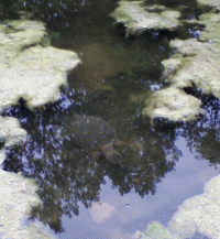 M01A0011.JPG