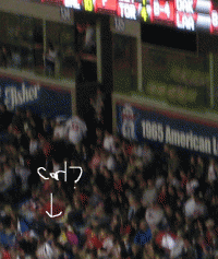 carltwins.jpg