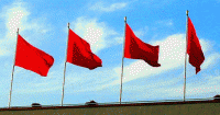 red-flags.jpg